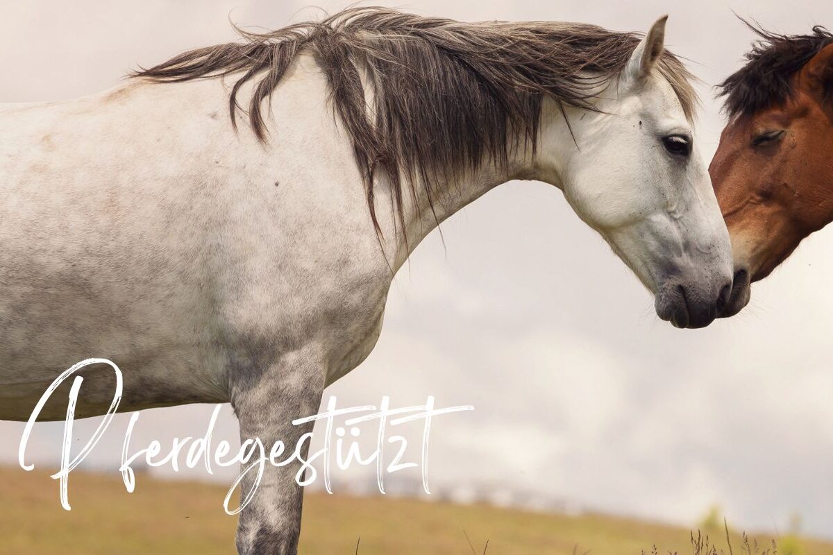 coaching pferde1 aspect ratio 450 300